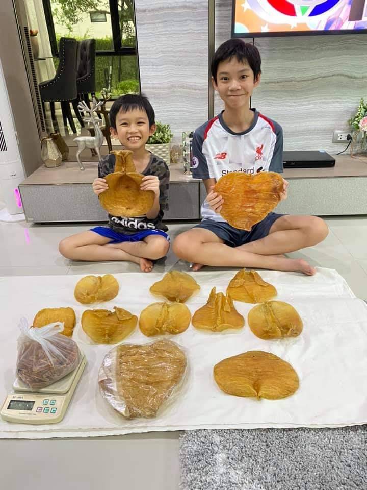 ซัวเถา รับซื้อกระเพาะปลาเก่า รับซื้อกระเพาะปลาเก่า โสมเกาหลีเก่า