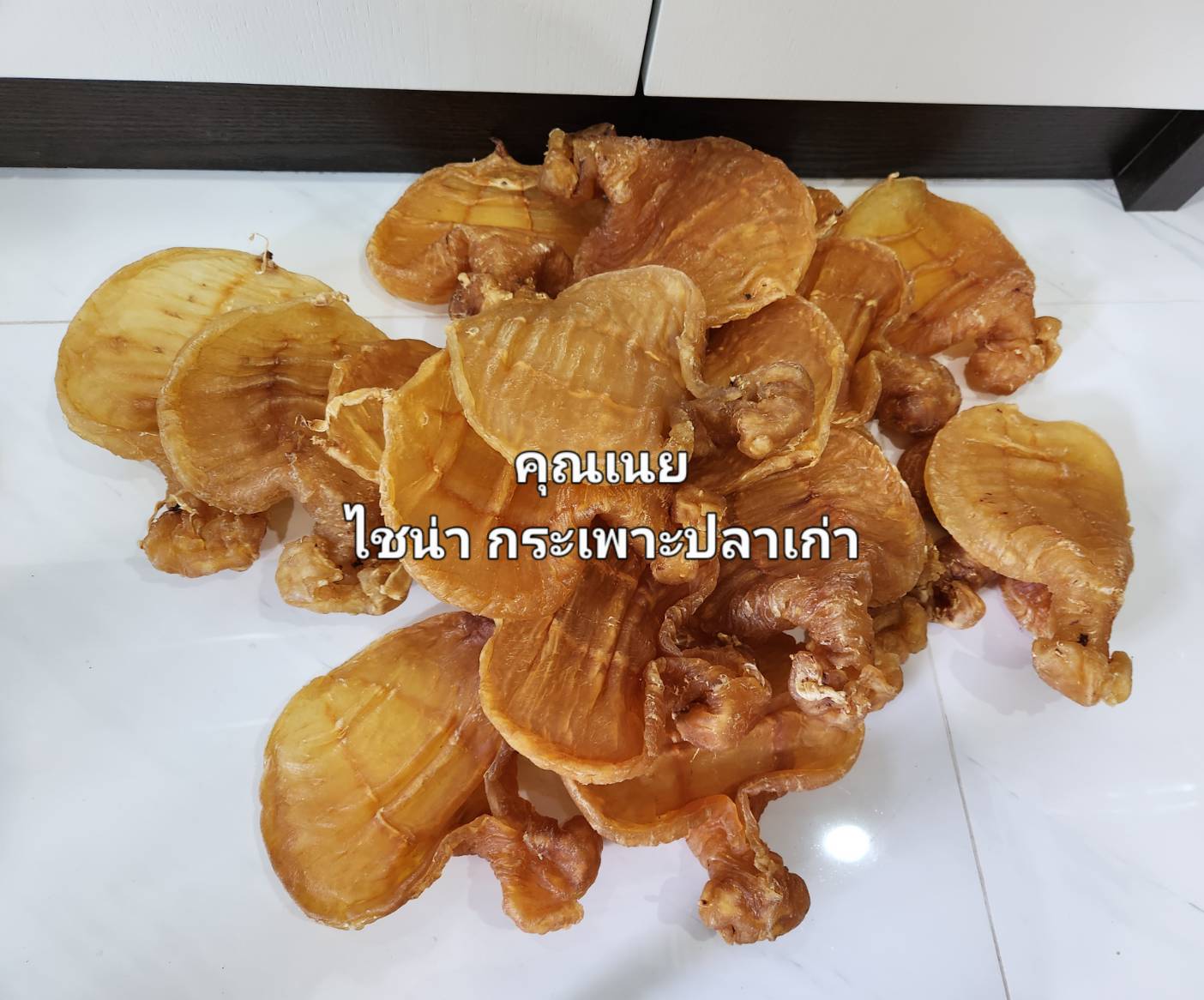 ซัวเถา รับซื้อกระเพาะปลาเก่า รับซื้อกระเพาะปลาเก่าถึงบ้าน